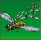 bzzzzz.jpg